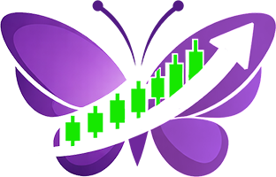 StocksNews logo